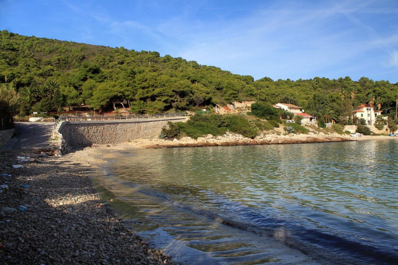 Apartments By The Sea Milna, Vis - 8913 Buitenkant foto