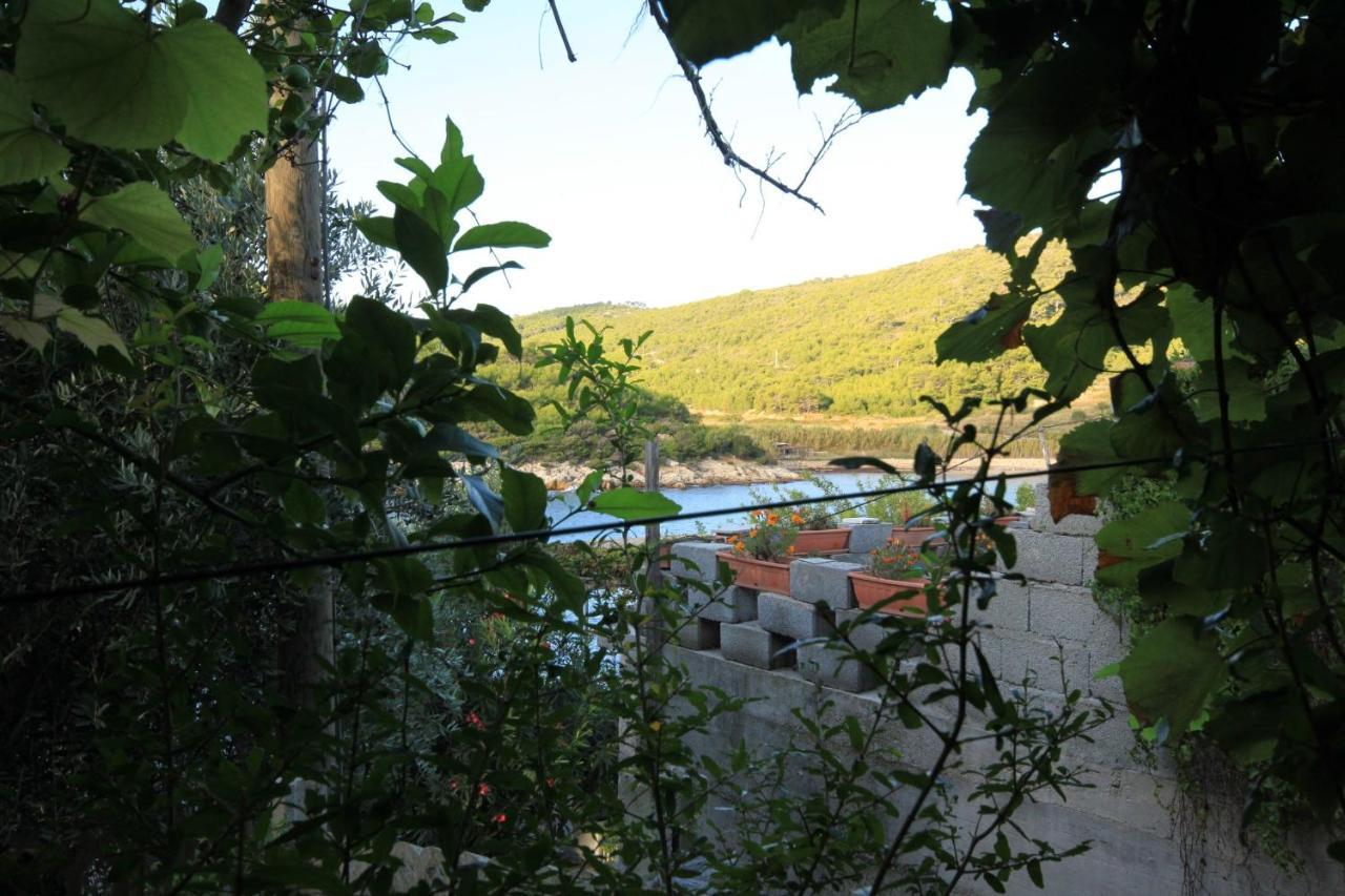 Apartments By The Sea Milna, Vis - 8913 Buitenkant foto