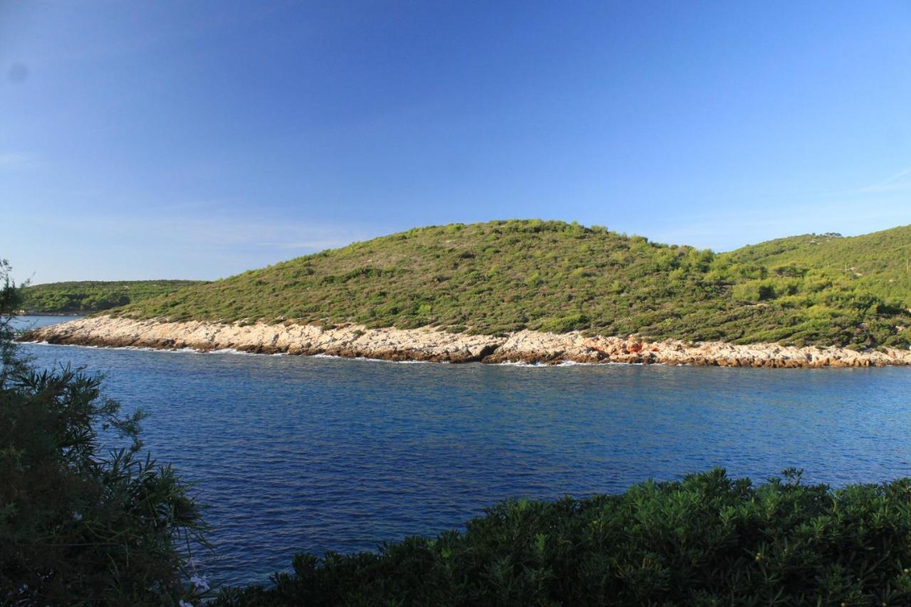 Apartments By The Sea Milna, Vis - 8913 Buitenkant foto